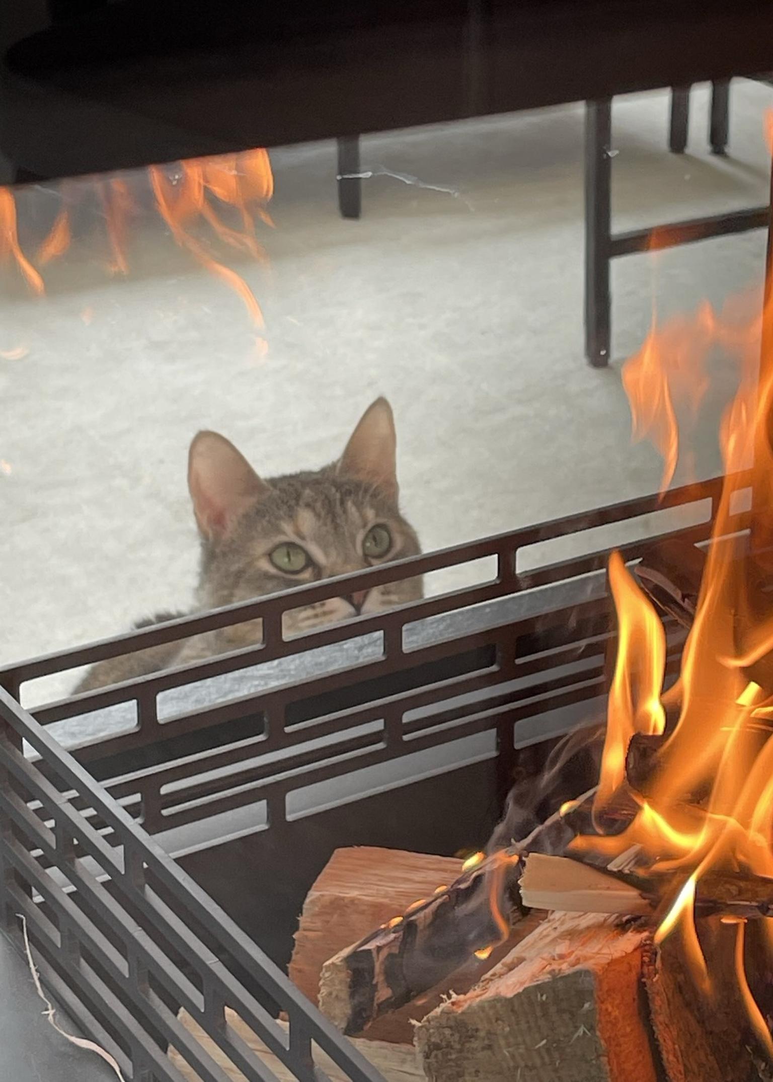 Bild von Gschlenk FEUER & STEIN